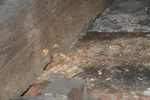 Wet rot in roof timbers 