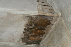 Dry rot (and wet rot) in lintol over window